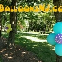 daisy cluster balloons